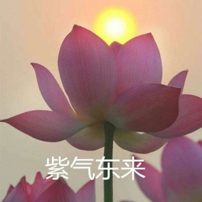时空猎人3国际服下载
